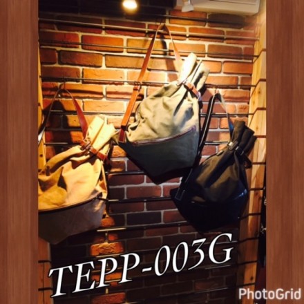 tepp003g-2